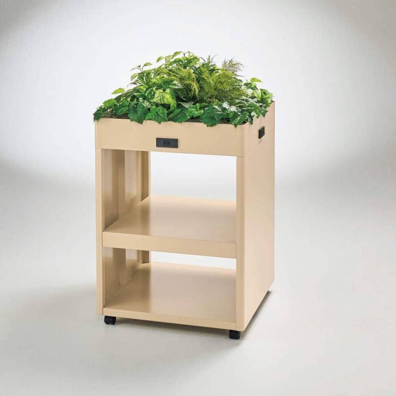 観葉植物 光触媒プラントの通販 オフィス家具のLOOKIT(ルキット)