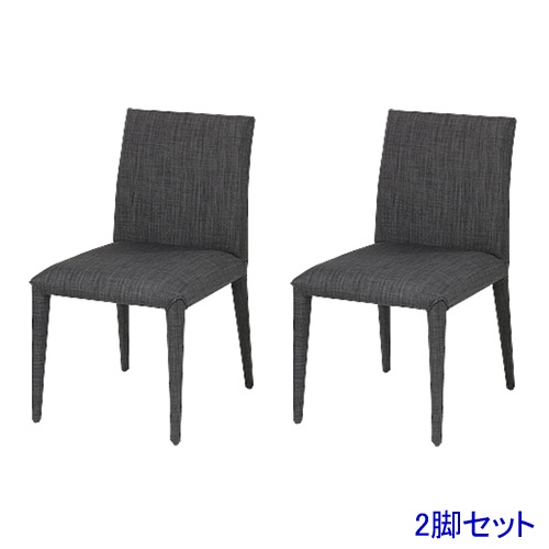 ダイニングチェア 2脚セット シンプル TDC-95659S