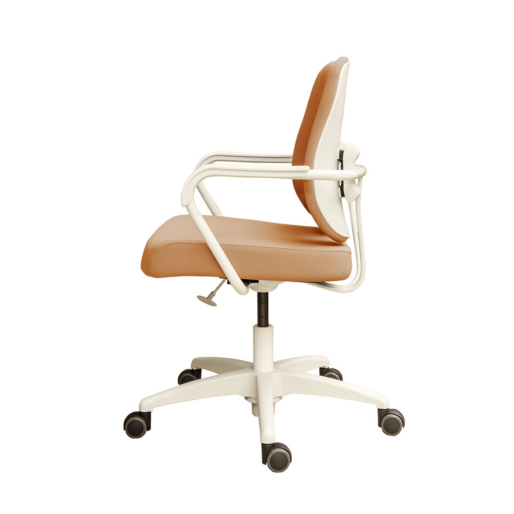 5_000000054302.jpg?1736899050