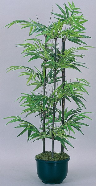 黒竹 観葉植物 鉢植え プラント 人工植物 C3508-100