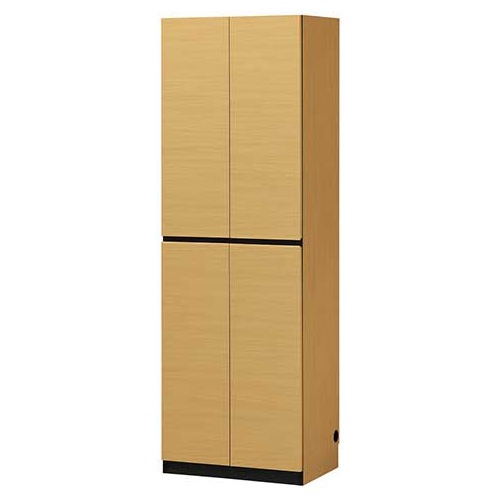 壁面収納 キャビネット 幅60cm 本収納 本棚 リビング収納 収納家具