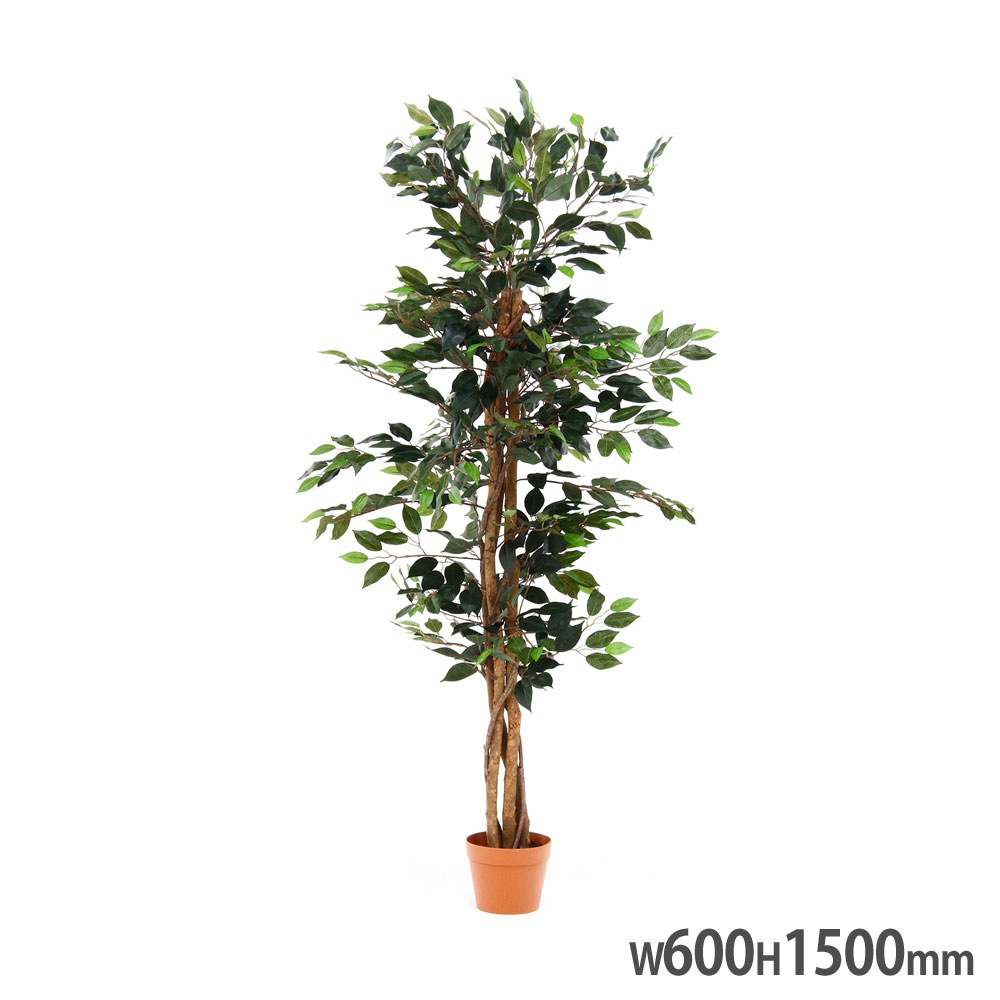 観葉植物 フィカス 幅600×奥行600×高さ1500mm フェイクグリーン 6号鉢