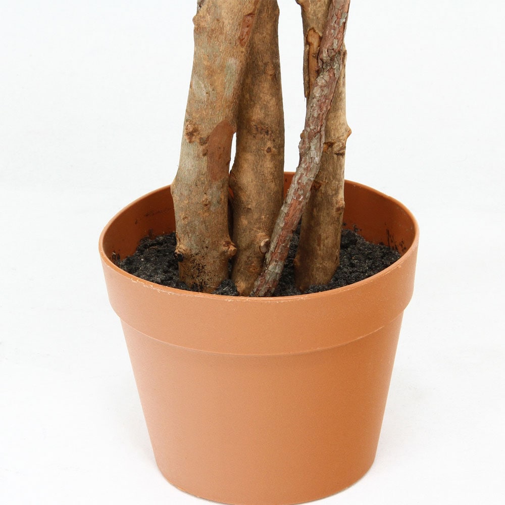 観葉植物 フィカス 幅600×奥行600×高さ1500mm フェイクグリーン 6号鉢