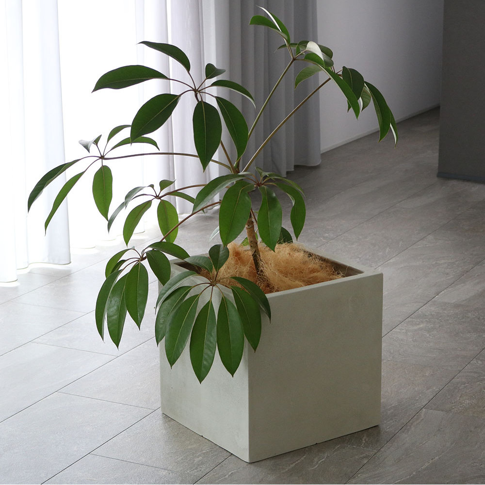 プランター プランター 幅40cm 植木鉢 鉢植え 36L E001-CU400（商品番号：su-e001