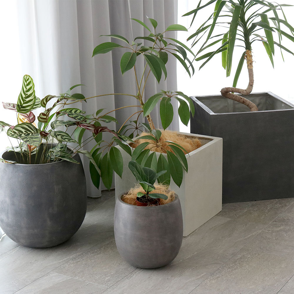 プランター 幅40cm 植木鉢 鉢植え 36L E001-CU400（商品番号：su-e001