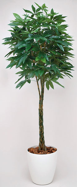 パキラ 観葉植物 造花 鉢植え プラント C3703-500