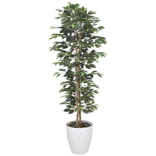ベンジャミンスリム 観葉植物 造花 鉢植え プラント C3803-250