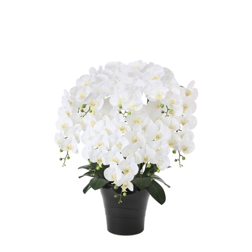 胡蝶蘭 8本立 光触媒人工植物 幅60×奥行48×高さ75cm 877A360-69（商品 
