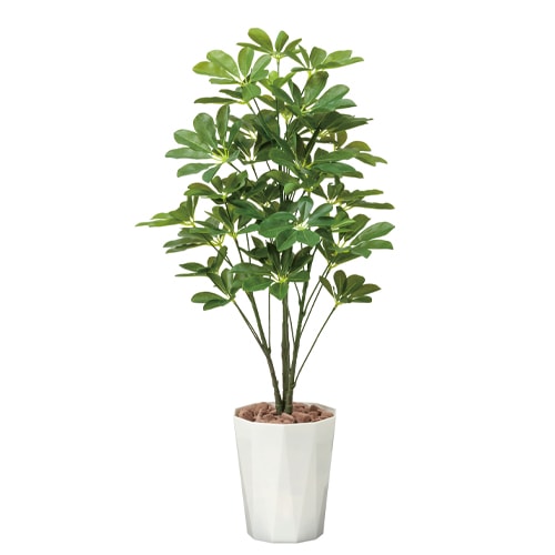 シェフレラ 観葉植物 造花 鉢植え プラント 514A180-31（商品番号：w