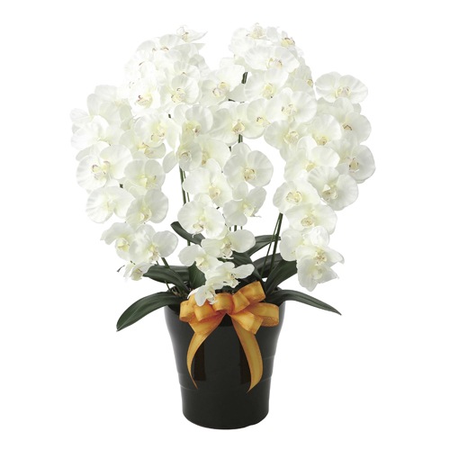 胡蝶蘭 5本立 光触媒人工植物 幅50×奥行45×高さ75cm 651A220-72（商品 
