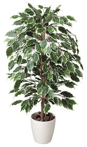 ゴールデンフィカス 100cm 光触媒 室内 緑 EE4501-150 通販