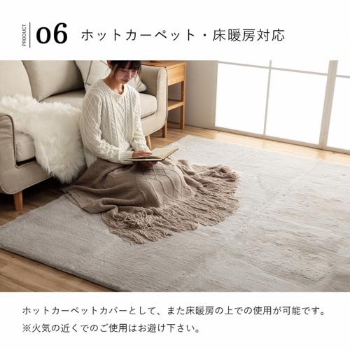ラグ イケヒコ 200×200cm マット カーペット RPAS200（商品番号：ic