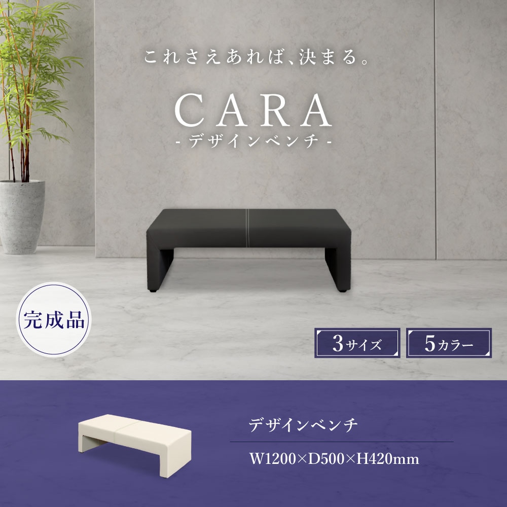 ロビーチェア 幅1200mm 2人 2人掛け 合皮 CARA-1200-2（商品番号：NF