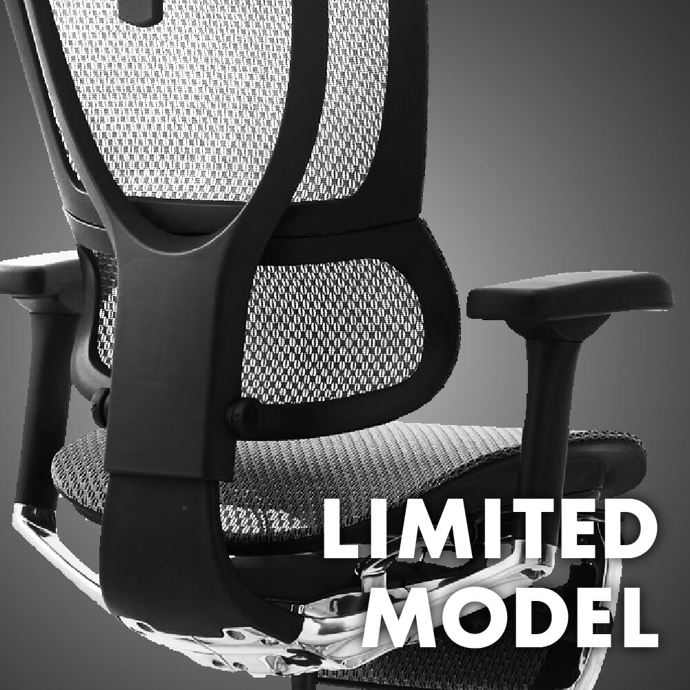 エルゴヒューマン フィット2 ライト Ergohuman FIT2 Lite 正規品 最長5