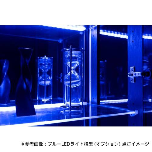 コレクションラック 収納 収納ラック ディスプレイラック コレクション