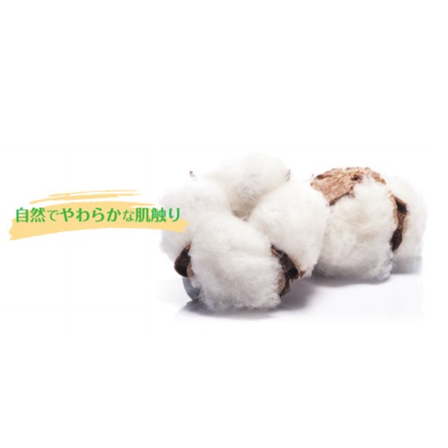 フェイスペーパー コットン 使い捨て フェイスカバー 天然 コットン