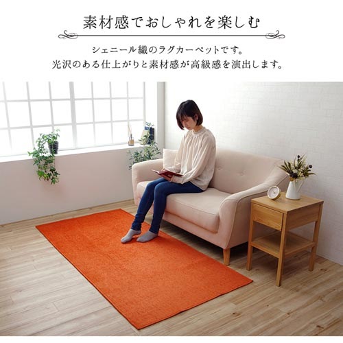 ラグ イケヒコ 200×250cm マット カーペット MDRN200250（商品番号：ic
