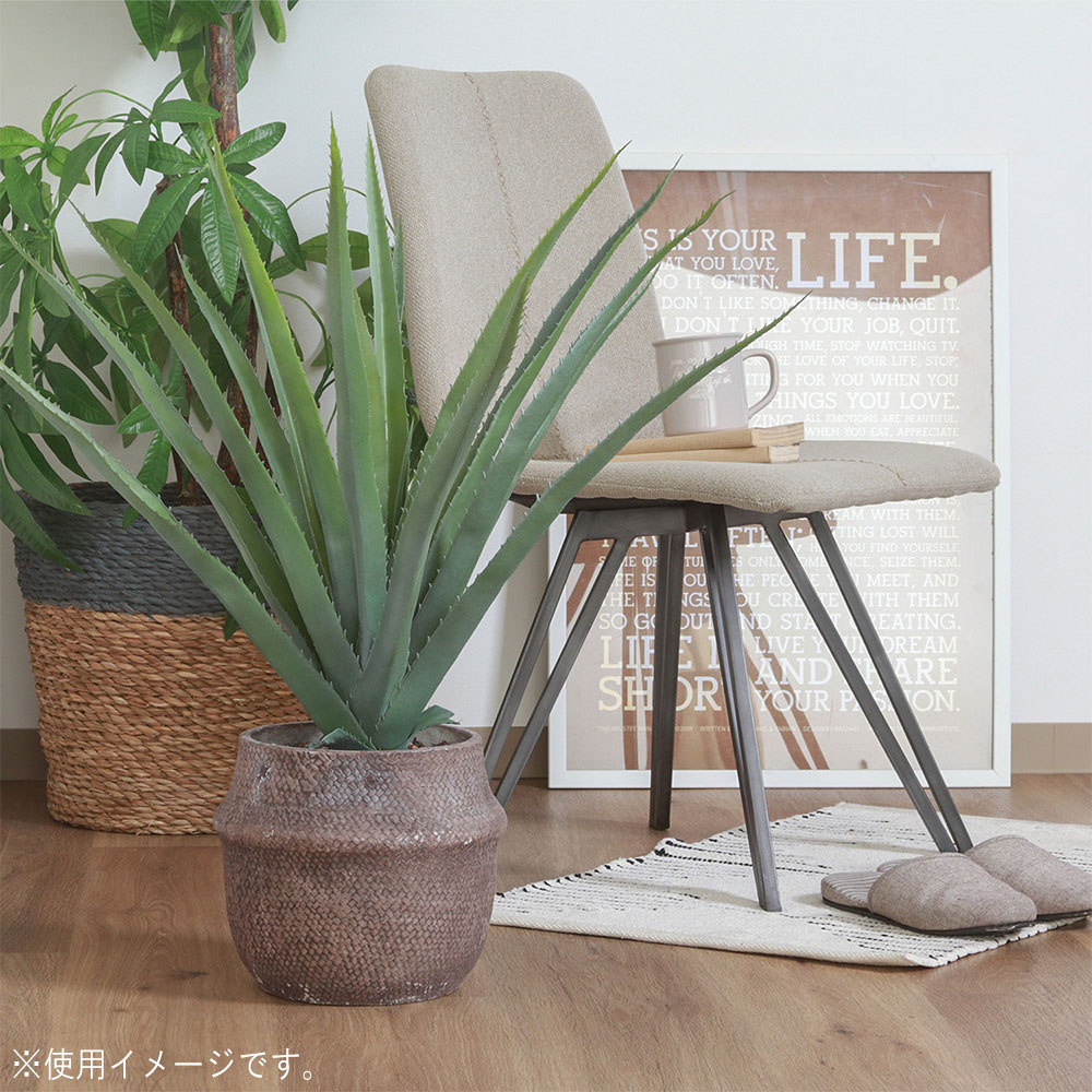 フェイクグリーン アロエ 幅700×奥行750×高さ750mm アートグリーン 