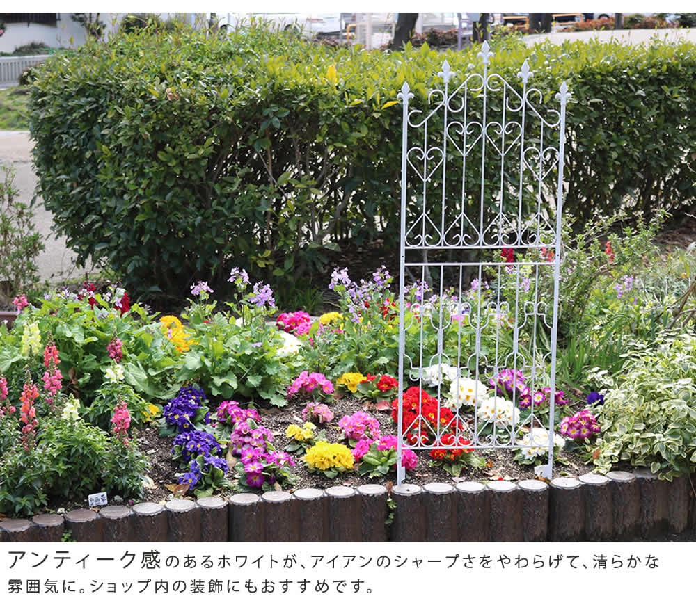フェンス 分割式 ロータイプ 2枚組 屋外 DF009L-2P（商品番号：su