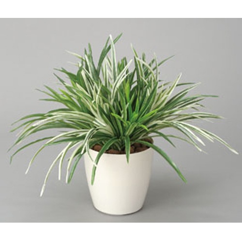 ドラセナミックス 観葉植物 造花 鉢植え プラント 3A5207-84