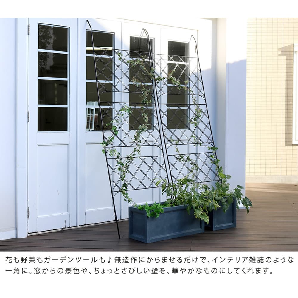 グリーンカーテン ハイタイプ グリーンフェンス 緑のカーテン シェード