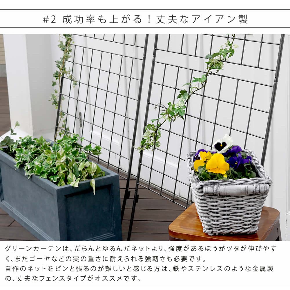 グリーンカーテン 2枚組 ハイタイプ グリーンフェンス 緑のカーテン