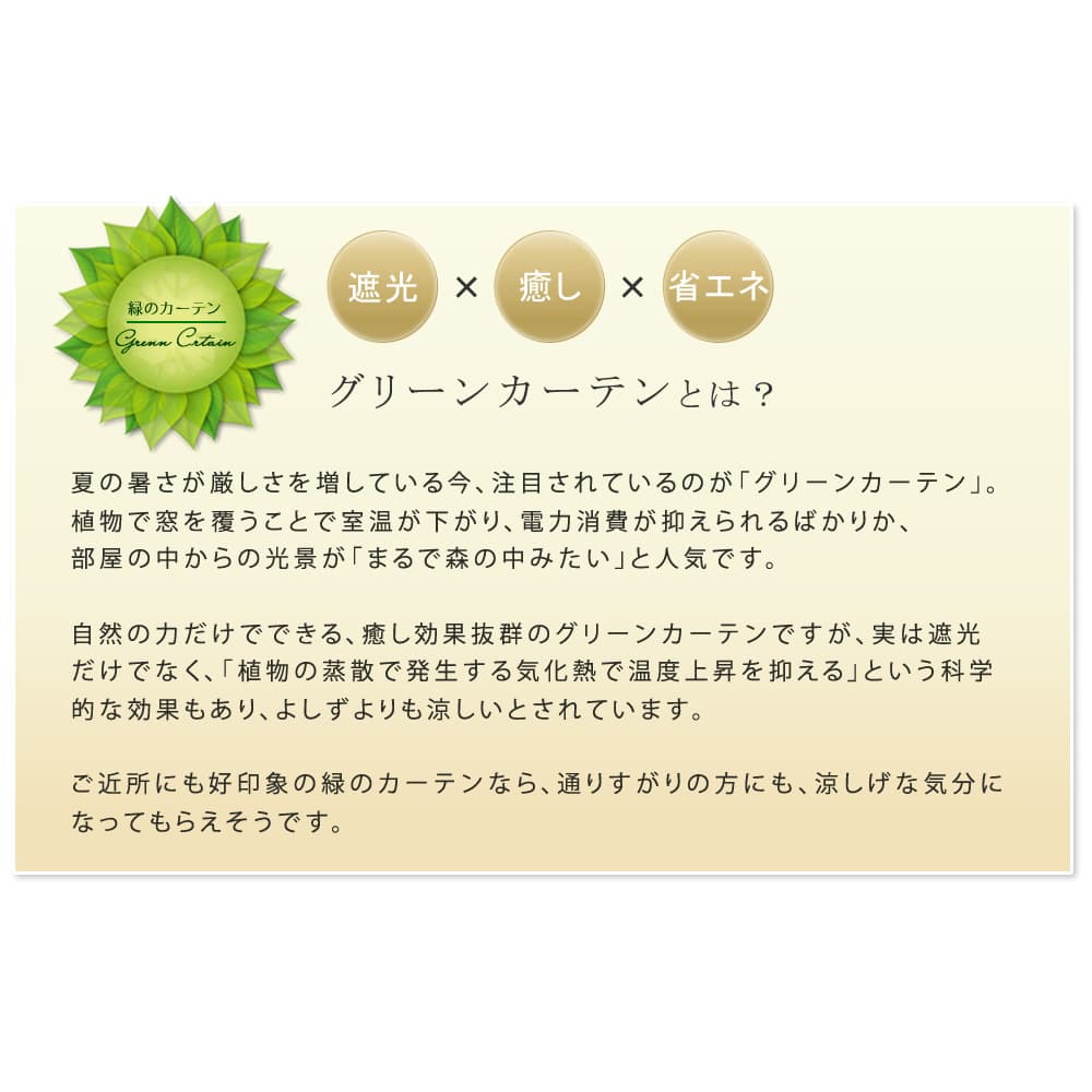 グリーンカーテン ハイタイプ グリーンフェンス 緑のカーテン シェード