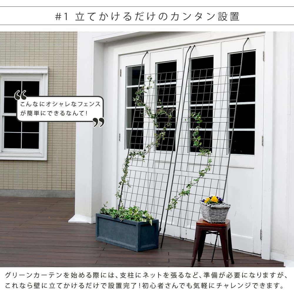 グリーンカーテン ハイタイプ グリーンフェンス 緑のカーテン