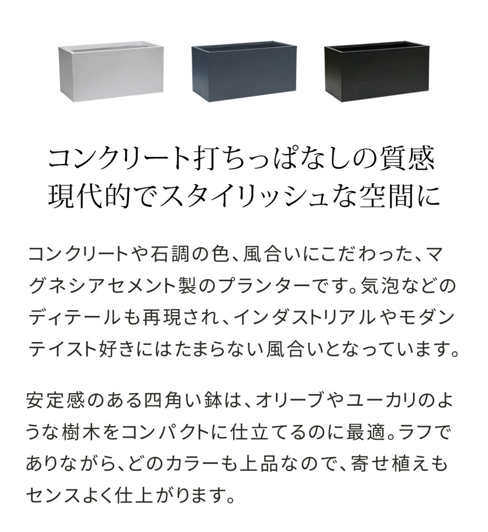 一品古鉢第534弾 -
