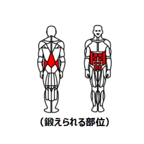 筋トレギア Kawasaki ZX6R 2024-2025 Gloss Black & Red Wreckage ABS