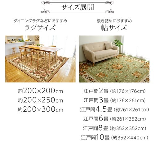 【特価商品】イケヒコ ラグ マット カーペット 長方形 DXラディ 約200×2 Amazon｜イケヒコ ラグ マット カーペット 長方形 DXラディ 約200
