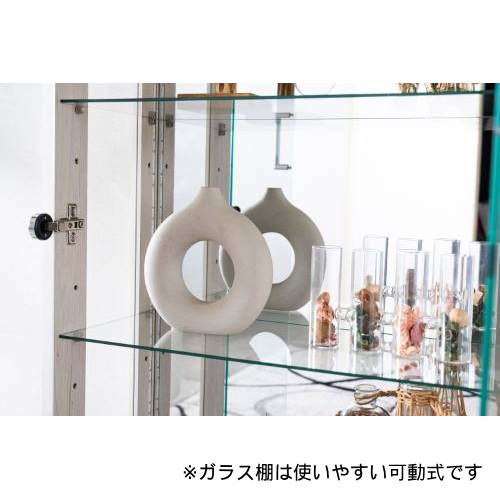 コレクションラック コレクションケース コレクター フィギュア ガラス