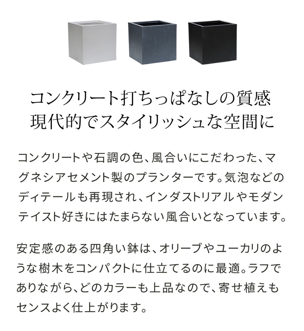 鉢 マグネシアセメント 角型 幅36cm プランター TEX-360C（商品番号