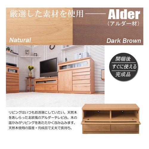 TVボード 幅101cm 木製ラック 収納ラック リビング収納 TE-0003-0004 
