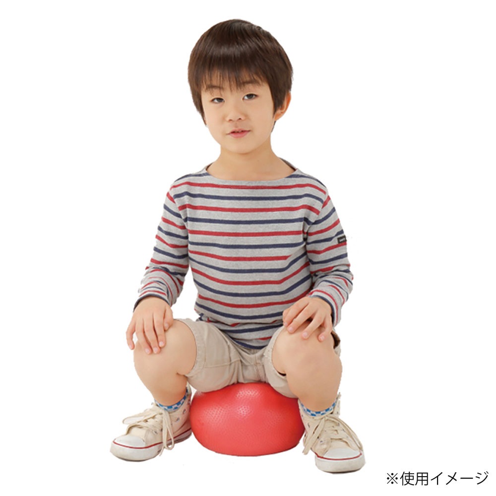ソフトギムニク エバニュー PVC 耐荷重100kg 日本Gボール協会認定