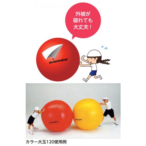 カラー大玉 エバニュー 直径90cm 軟質PVC 独立二重構造 EKA445（商品