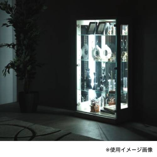 ガラスキャビネット　追加画像 R.U.S 基本セット通常- 高さ54cm×幅92cm（ガラスキャビネット） ｜家具
