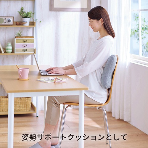 抱き枕 西川 Beauty 昼寝枕 クッション QH91306001（商品番号：nk
