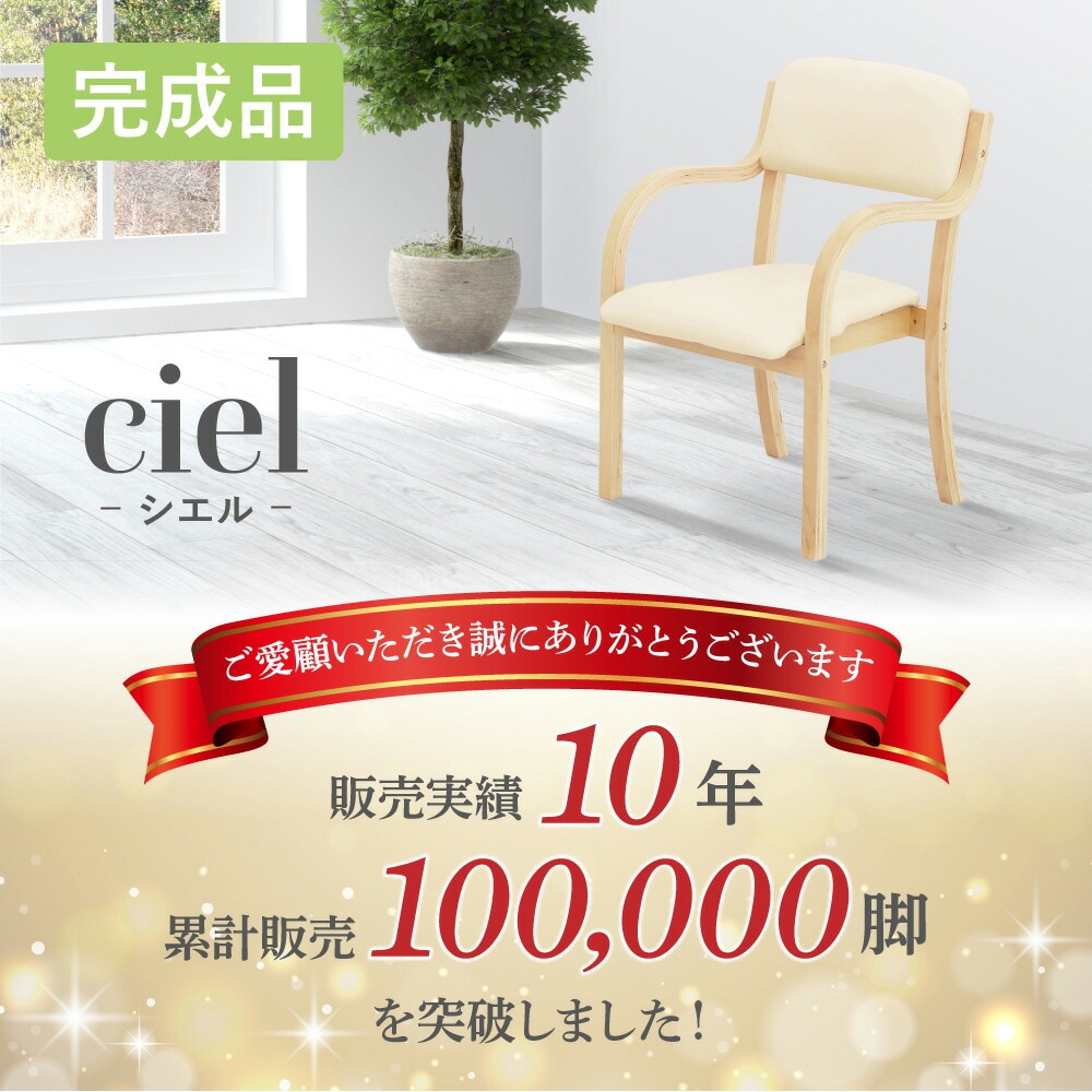 ダイニングチェア 2脚セット 木製 介護 椅子 ETV-1-S2（商品番号：etv