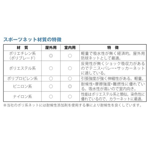 フットサル・ハンドゴール兼用ゴールネット 2枚セット 日本