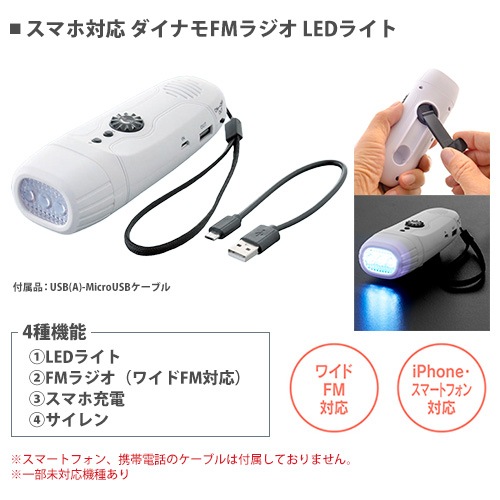 防災セット 11点セット 防災バッグ 帰宅支援セット 帰るポーチ IDP-82