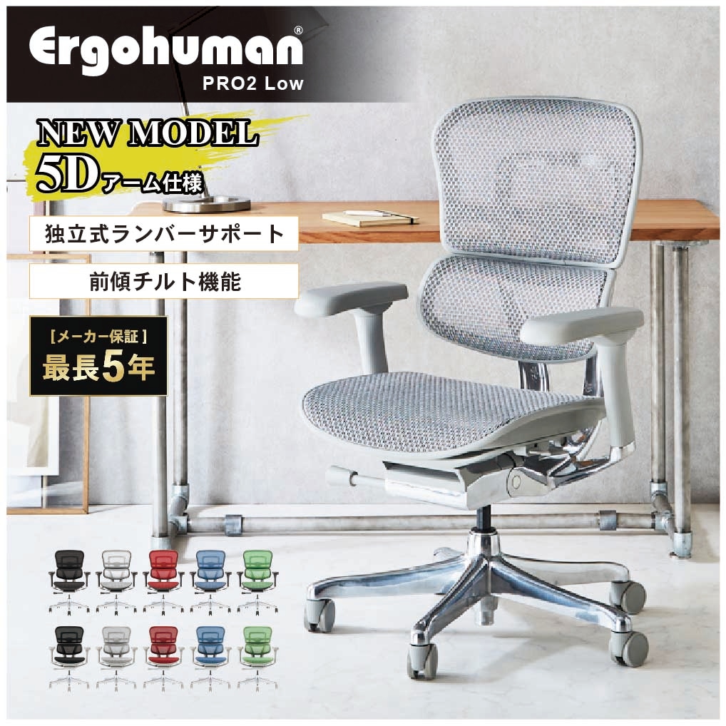 エルゴヒューマン プロ2 ロータイプ 5Dアームレスト Ergohuman EHP2