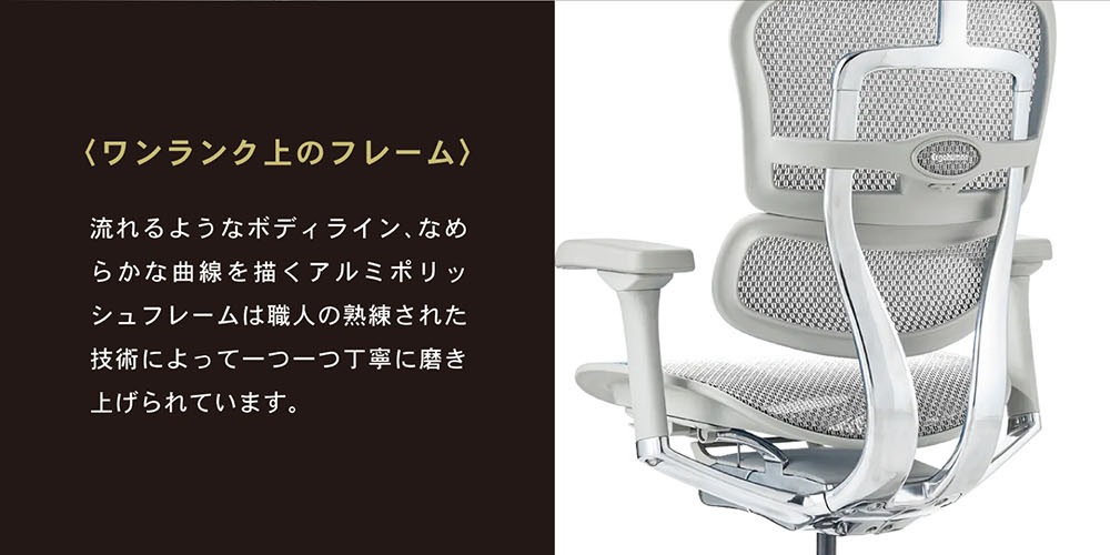 エルゴヒューマンプロ2 ロータイプ Ergohuman Pro2 Low 新基盤仕様