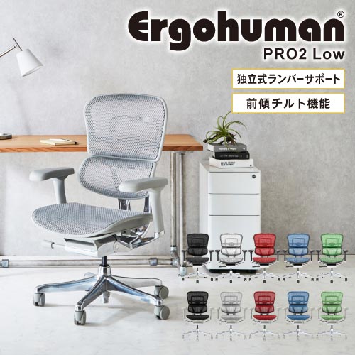 エルゴヒューマンプロ2 ロータイプ Ergohuman Pro2 Low 新基盤仕様