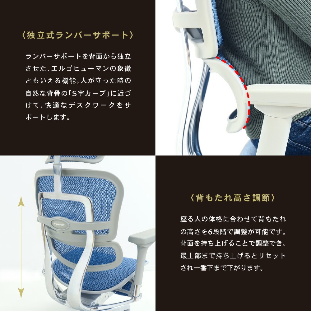 エルゴヒューマンプロ2 ロータイプ Ergohuman Pro2 Low 新基盤仕様 