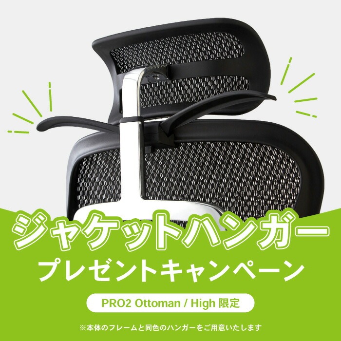 Ergohuman Pro ottoman エルゴヒューマン プロ オットマン エルゴヒューマン プロ / オットマン内蔵型 / ヘッドレスト有り