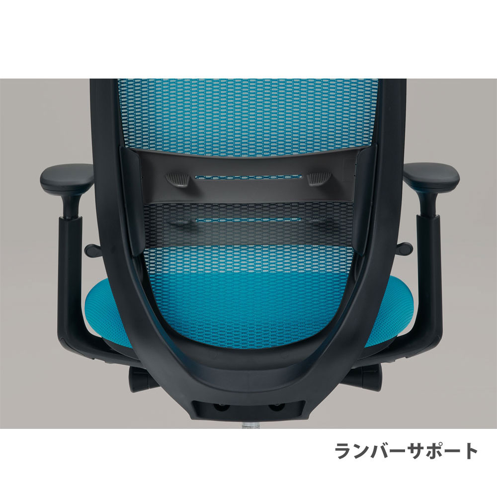 オカムラ ライブス ワークチェア ローバック 5本脚/ブラック 張