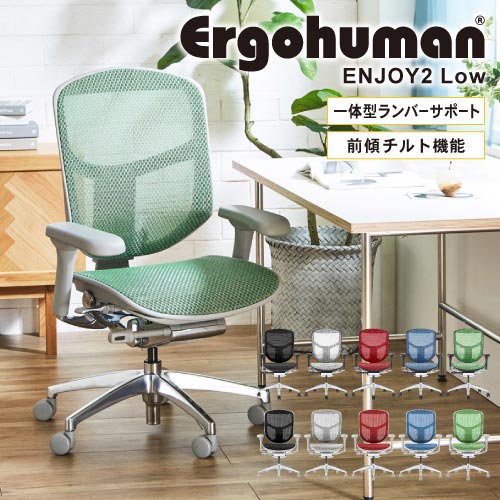 エルゴヒューマン