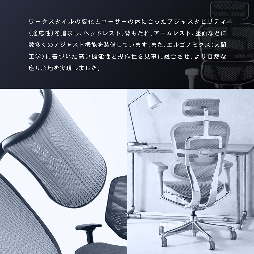 メッシュチェア リクライニング ローバック エルゴヒューマン