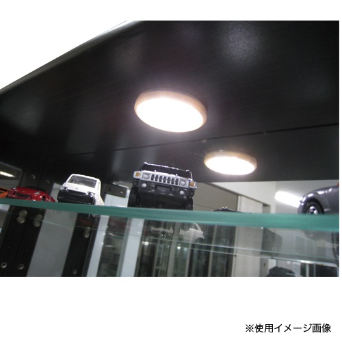 LEDダウンライト コレクションラック用照明 LED照明 LEDライト 飾り棚 